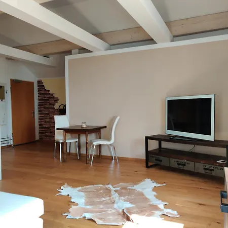 Festl Apartments - Naehe Messe Muenchen, Therme Erding Forstern Номер фото